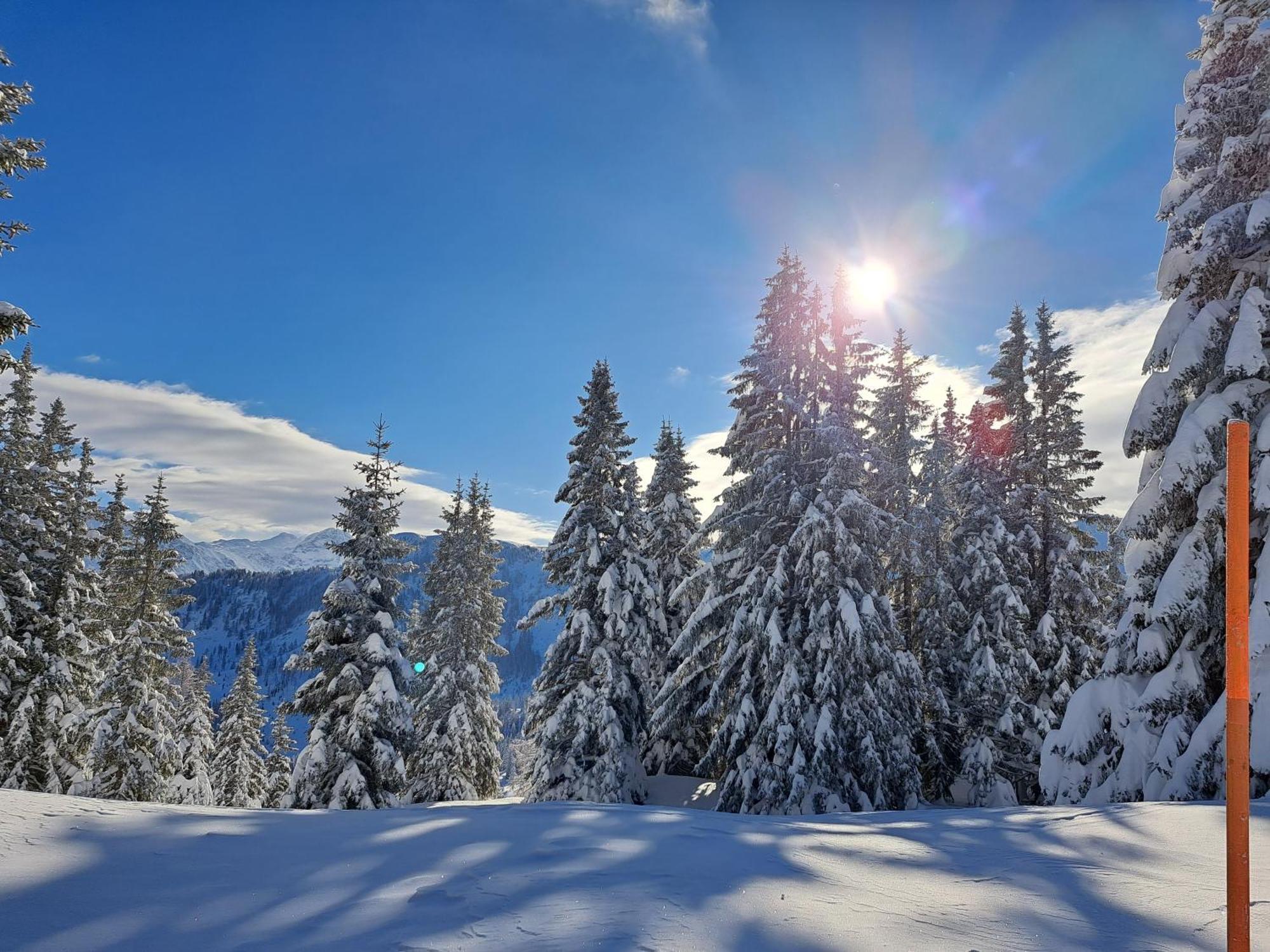 Appartement Tauernlife Schwarzach im Pongau Dış mekan fotoğraf